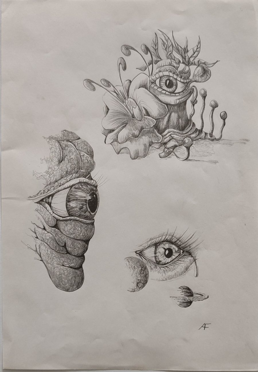 012_DESSIN