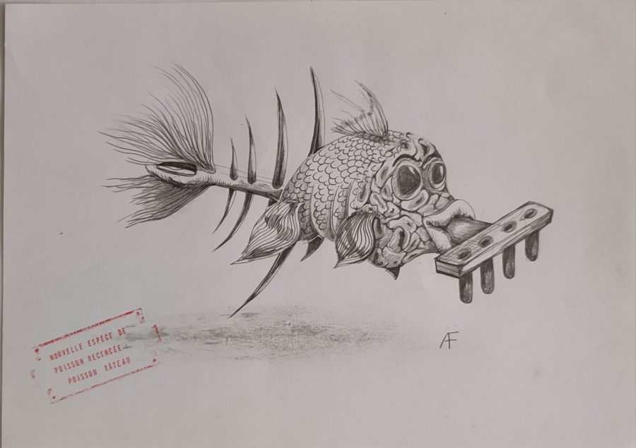 016_DESSIN