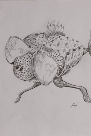 017_DESSIN