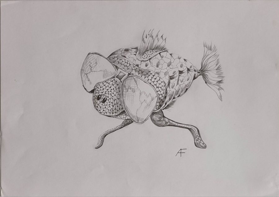 017_DESSIN