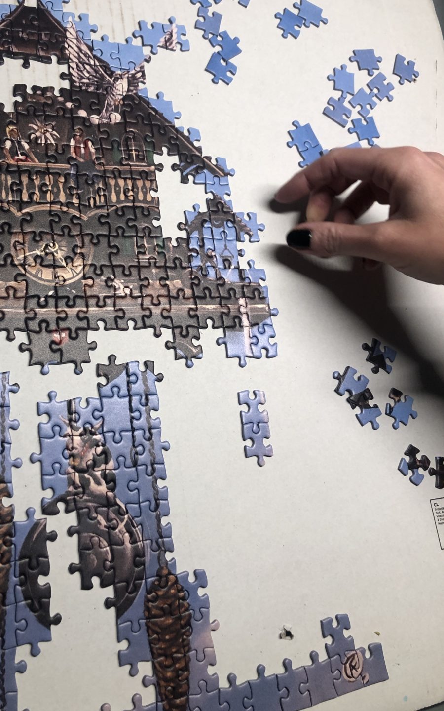 PUZZLE COUCOU – Image 4